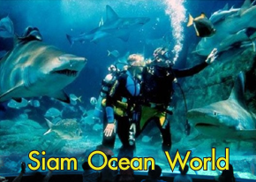 SEA LIFE Bangkok Ocean World - SiamBangkokMap